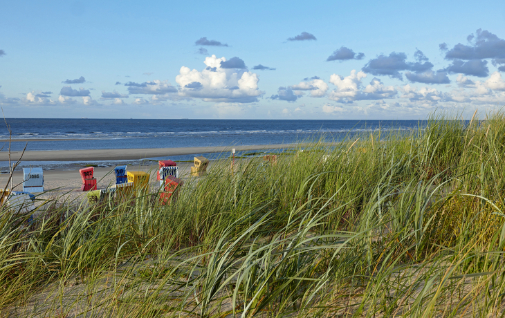 Insel Langeoog