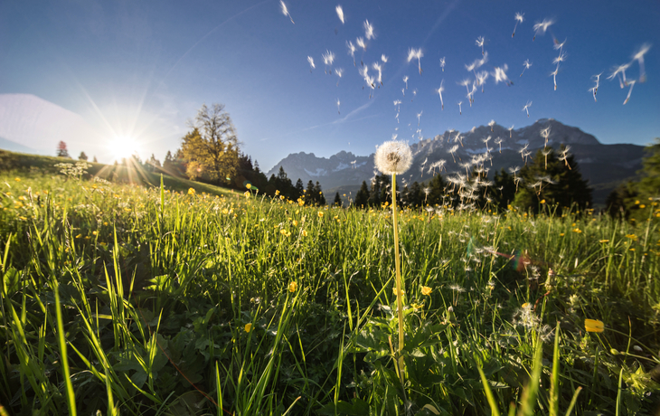Wilder Kaiser in Tirol