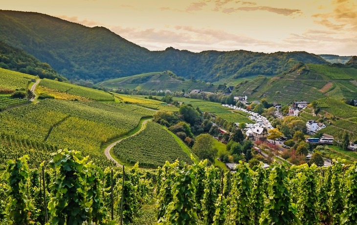 Blick über das Dorf Mayschoss im Ahrtal, Deutschland