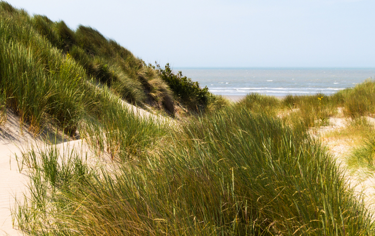 Küstenlinie und Sanddünen der Nordsee in Belgien