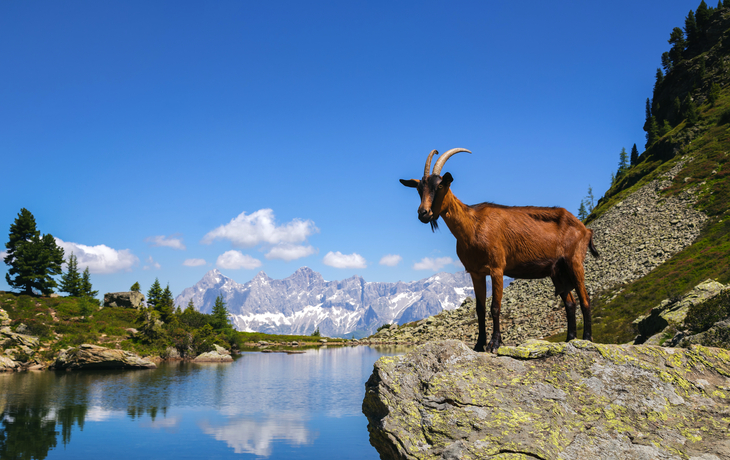 Spiegelsee in Schladming in der Steiermark, Österreich