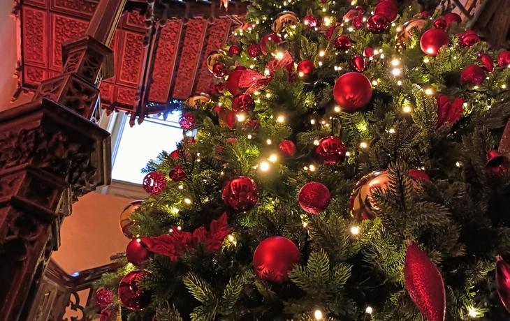 Weihnachtsbaum Schloss Arenfels