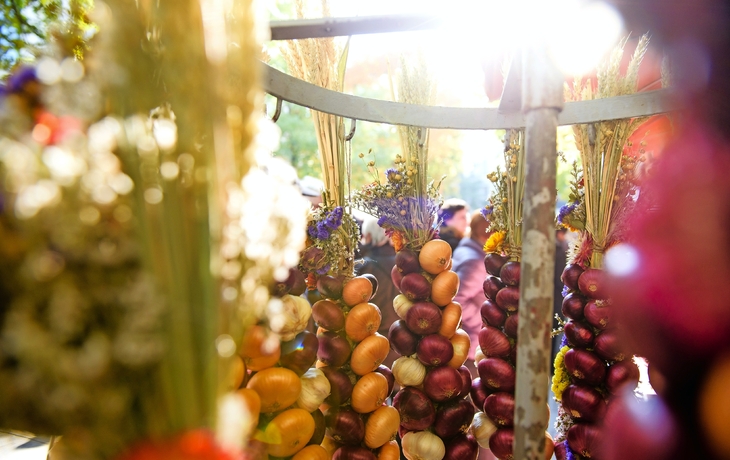 Zwiebelmarkt in Weimar, Deutschland