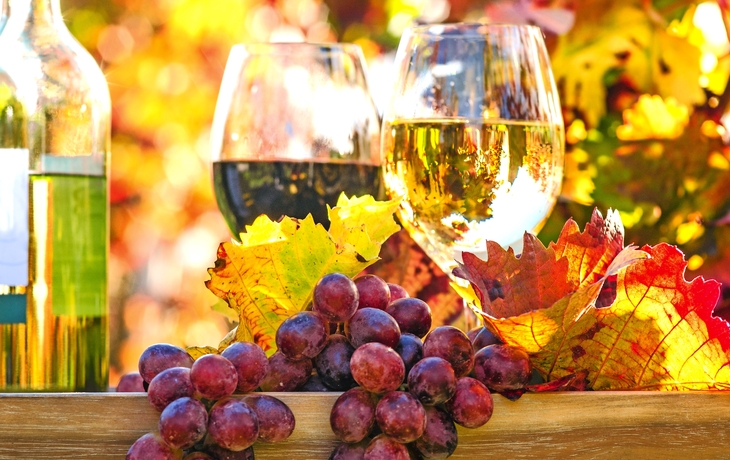 Genuss in der Pfalz: Weinprobe im Herbst, Rotwein, Weißwein, Weinglas und Trauben im Weinberg