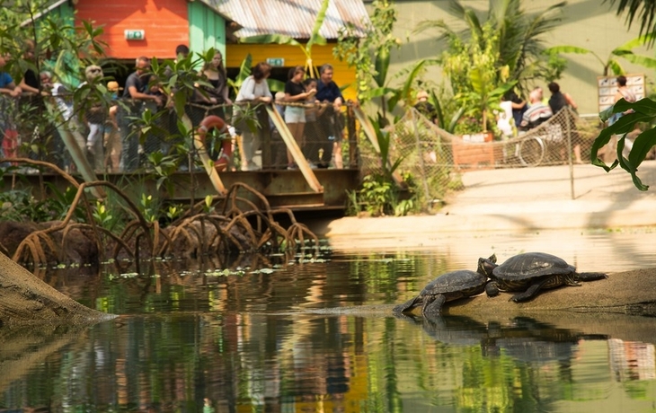 Burgers Zoo - Mangroven
