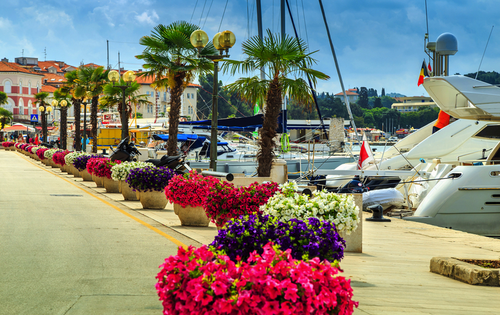 Atemberaubende bunte Blumen und Promenade,Porec,Istrien Region,Kroatien,Europa